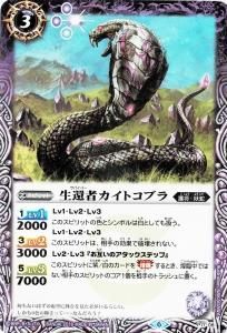 ڥϡǡP17-08 Լԥȥ֥2019 6