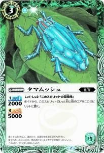 ڹŵBS14-026 ޥå2022