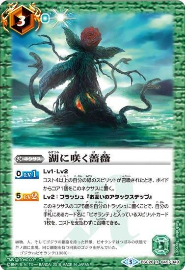 1湖に咲く薔薇 3枚（BSC26 ビオランテ 241005 - メルカリ