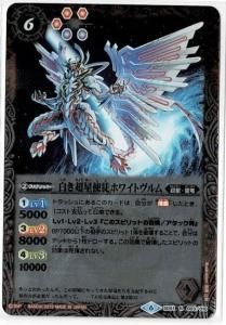 6ڥBSD51-003 Ķ̥ۥ磻ȥ R