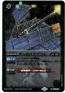 ڥ꡼ջۡ͡BSC41SD31-012ƥåݥʥʥե 