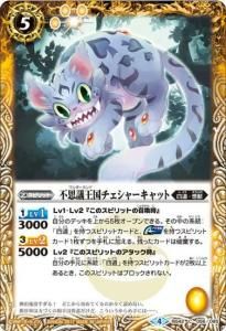 5ڥCBS42-056 Ի׵Ĳ㡼å