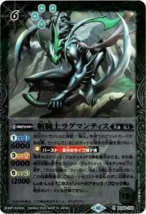 6ڥDۡڥ꡼ջۡ͡BSC41BS49-036µΥ饰ޥƥ R