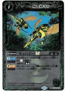 1ڥDۡڥ꡼ջ͡BSC42-026ޥåϥLT R