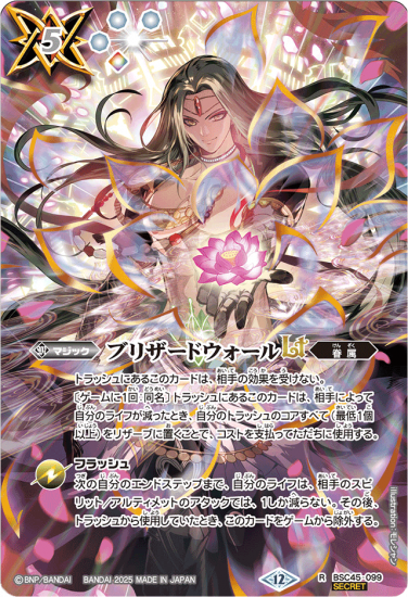 R ブリザードウォールLT(BS72収録/2025年度版) 販売 | [BS72