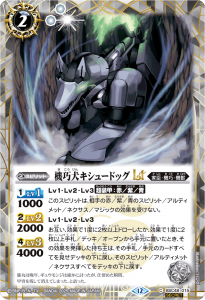 SECRETBSC48-015塼ɥåLT