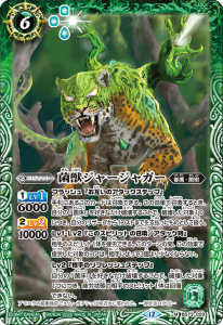 天地転世/ユム・カアシュ/菌樹/3コン/19 ④【BS73】 菌樹3コンセット 16種55枚【トークン含】【森主の