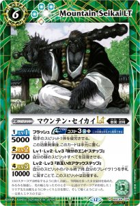 SECRETBSC49-026ޥƥ󡦥LT R  