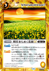 SECRETBSC49-080᤯ֱLT R 
