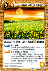 BSC49-080᤯ֱLT R 