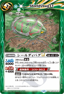 BSC49-061ǥХLT  