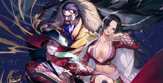 ڥԡɿʡOP14 󳤤μ̤1ȥ