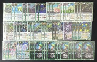 ڥǥå۶ݼʥࡦ  ꥫ˥ǥåʡGC