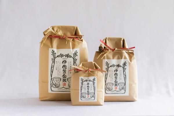 伊佐黄金米 白米 1kg 3kg 5kg