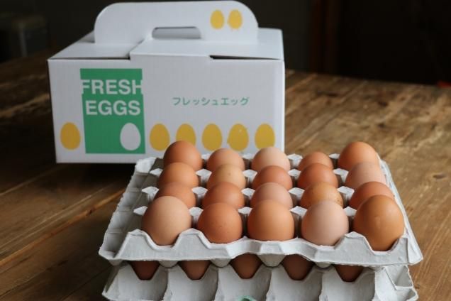 たまごページ キューピー 錦糸卵 細切り 500g ( 常温 / たまご