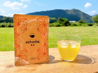 sotocha. 30g / 無農薬・有機肥料・手摘みの静岡県天竜のお茶