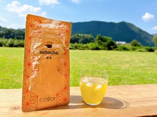 sotocha. 100g / 無農薬・有機肥料・手摘みの静岡県天竜のお茶