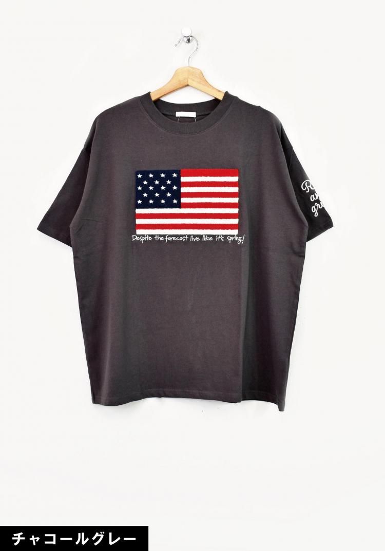 TORTOISE トータス　アメリカ国旗デザイン Tシャツ S アメリカ国旗デザイン Tシャツ S jimmyz - メルカリ
