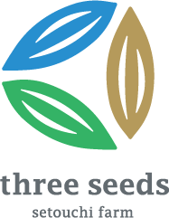 󥸥㡼åפΤ󤻥եȡthree seeds