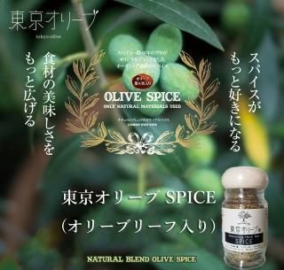 ꡼ǽѥ꡼ SPICE