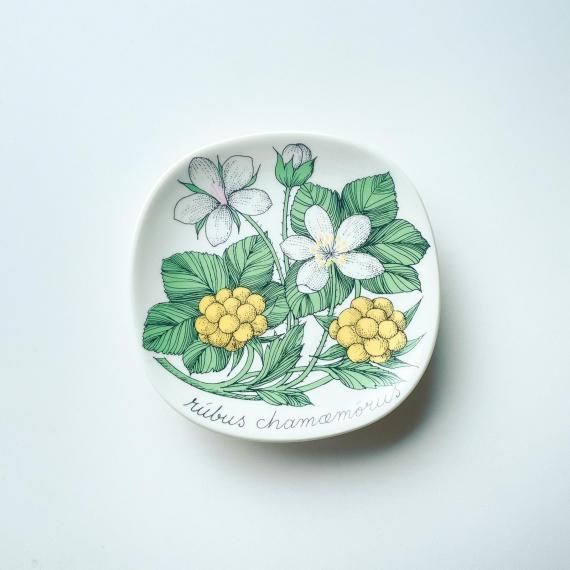 BOTANICA PLATE | rubus