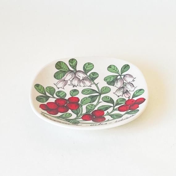 BOTANICA PLATE | lingonberry