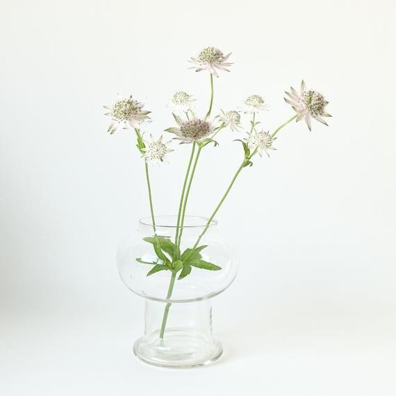 GLASS VASE