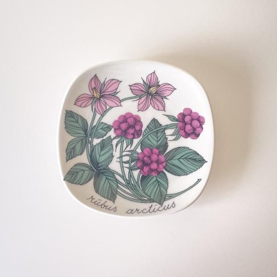 BOTANICA PLATE | rubus
