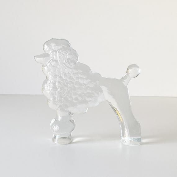 POODLE in GLASS