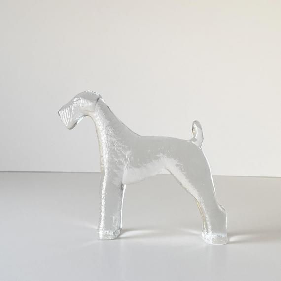 TERRIER in GLASS