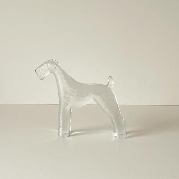 TERRIER in GLASS