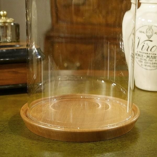 ヴィンテージ ガラスドームケース | アンティーク - Q'S ANTIQUES