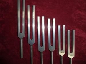 【美品】888Ｈｚジーザスクライスト 鏡面仕上げ マドモアゼル・愛 888Hzジーザスクライスト 鏡面仕上げ - マドモアゼル・愛公式