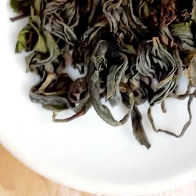 有機烏龍茶【たかちほ春】50g - 【公式】宮崎茶房オンライン