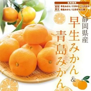 <img class='new_mark_img1' src='https://img.shop-pro.jp/img/new/icons62.gif' style='border:none;display:inline;margin:0px;padding:0px;width:auto;' />Ųߤߤ