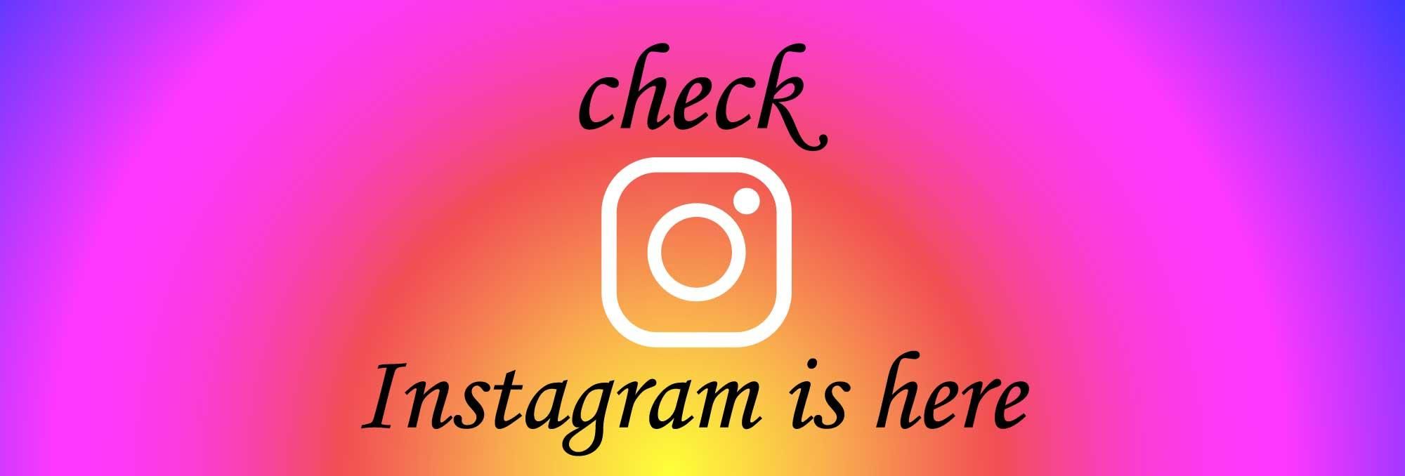 ダリーナキャット ネットショップ