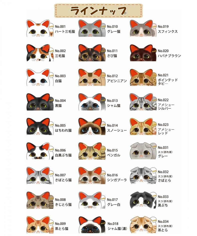 うちのこ招き猫ステップトンネル【短毛種】 (ステッカー付) - くら