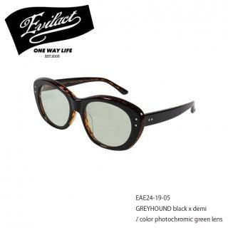 EVIL ACT/֥륢ȡۥ󥰥饹/ EAE24-19-05/GREYHOUND /black x demi / color photochromic green lens