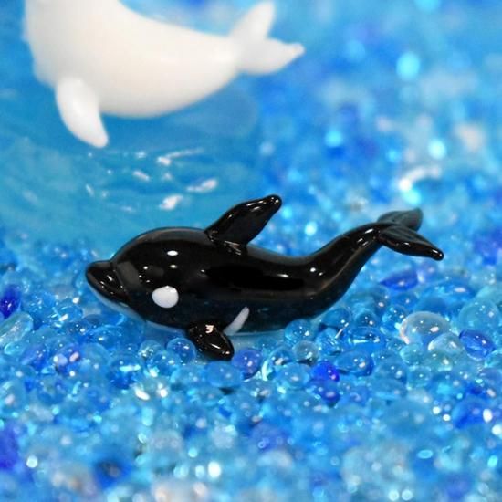 ミニチュアガラス細工|海の人気者|FGスタジオ|フォーカート ミニチュアガラス細工|海の人気者|FGスタジオ|フォーカート
