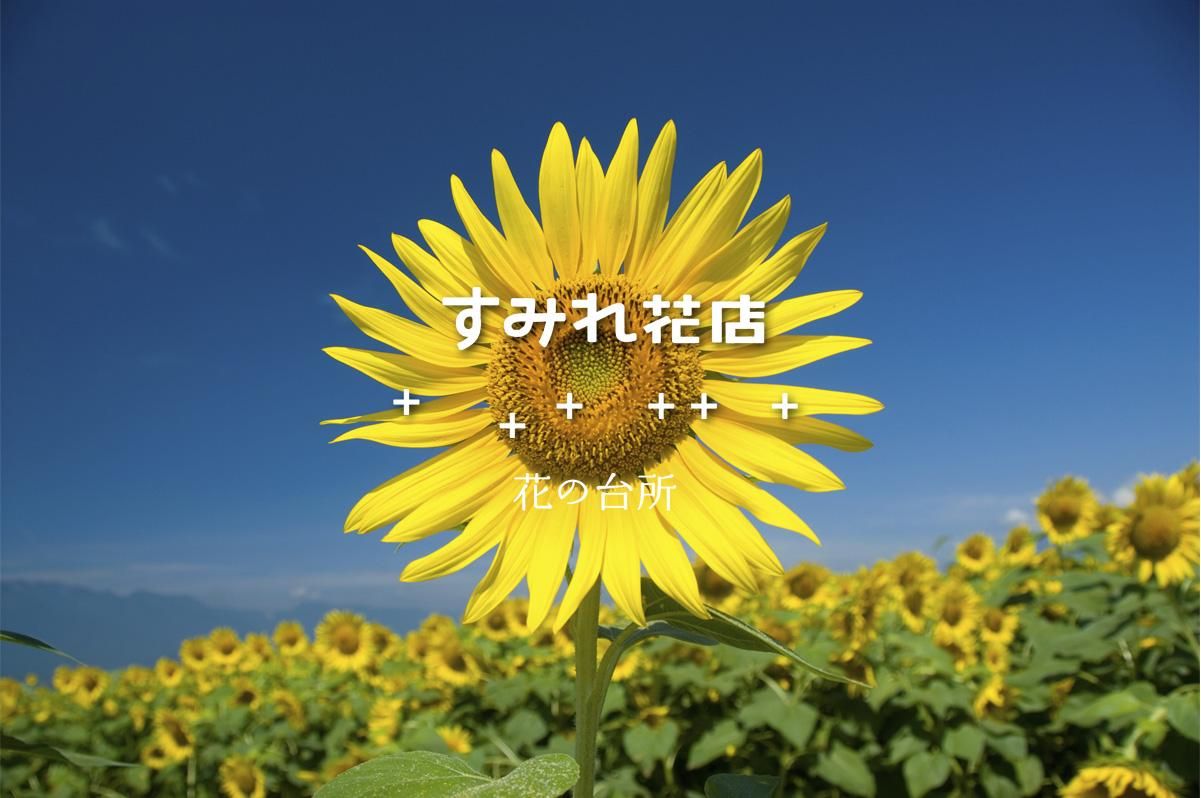 ֤