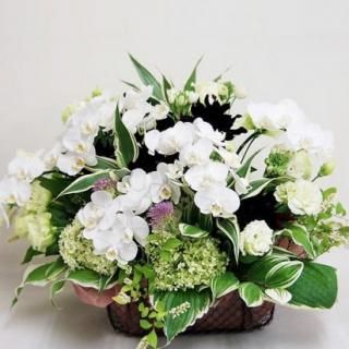お悔み・お供え - すみれ花店 Online Shop お悔み・お供え - すみれ花店 Online Shop
