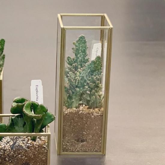 真鍮ガラスベース 多肉植物の寄せ植え 縦長 すみれ花店 Online Shop