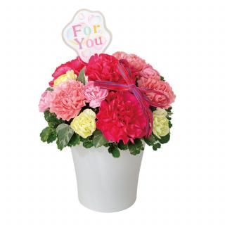 すみれ花店 Online Shop すみれ花店 Online Shop