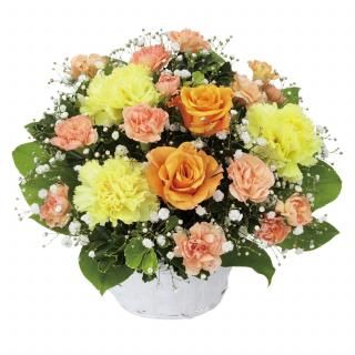 󥸥ХΥ󥸥ȡʲ֥塼ԥåȤǤϤ