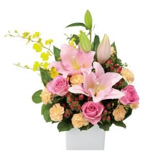 ԥ󥯥Υ󥸥ȡʲ֥塼ԥåȤǤϤ