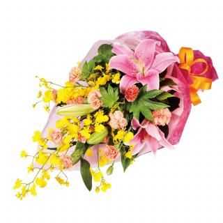 β«ʲ֥塼ԥåȤǤϤ