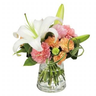 Υ饹֡ʲդˡʲ֥塼ԥåȤǤϤ