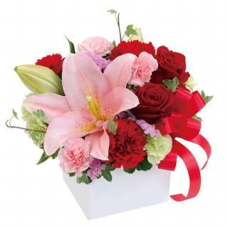 ֤Υ塼֥󥸥ȡʲ֥塼ԥåȤǤϤ