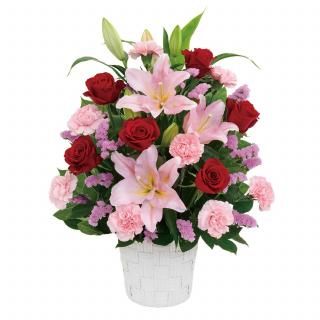 ԥ󥯥֥ХΥ󥸥ȡʲ֥塼ԥåȤǤϤ