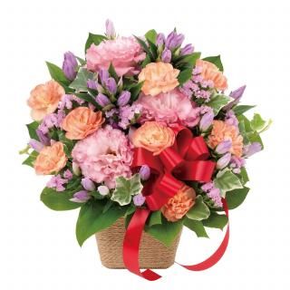 ɥȥȥ륳祦Υܥ󥢥󥸥ȡʲ֥塼ԥåȤǤϤ